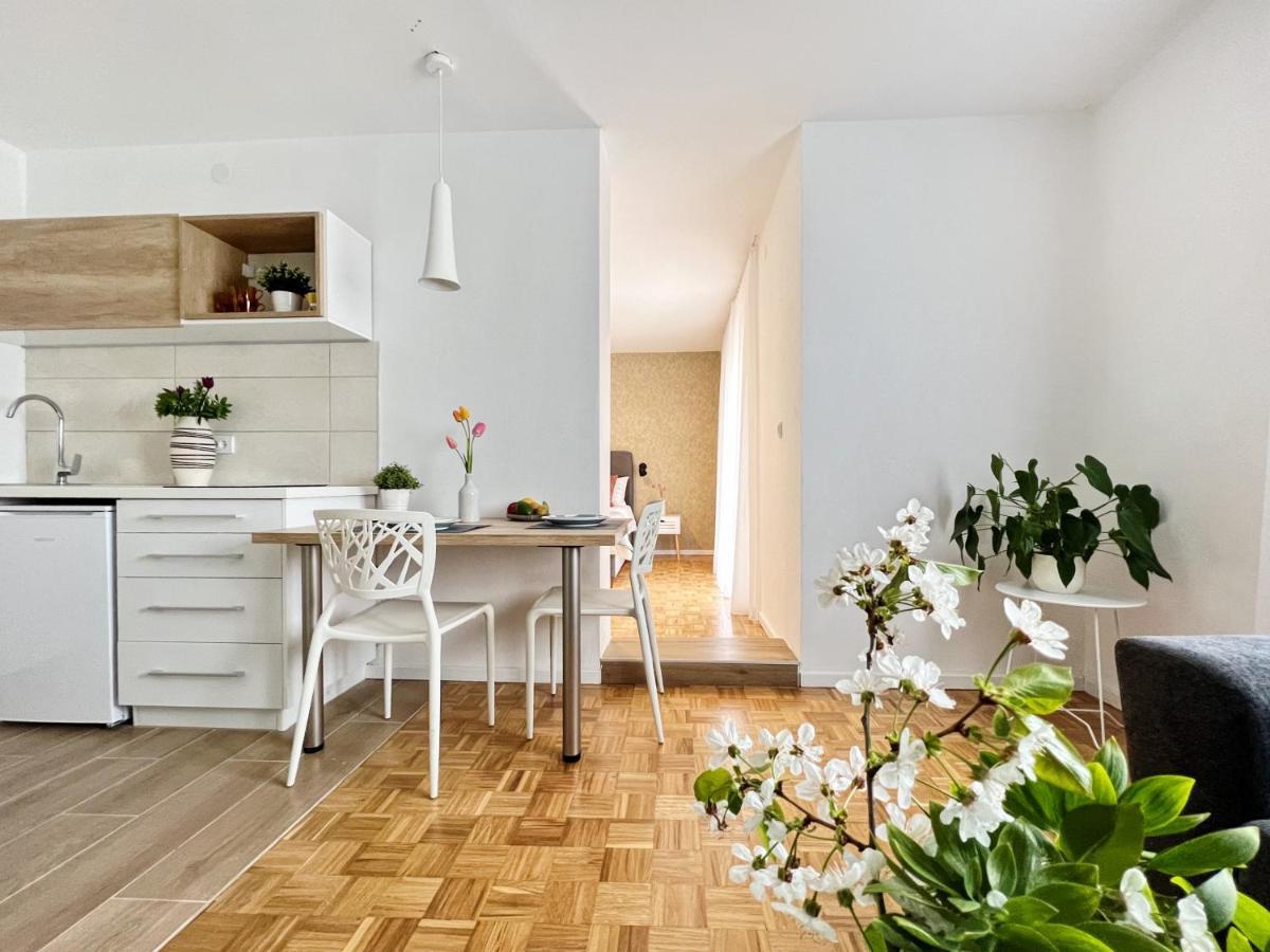 Apartments Valerian Novigrad Istria Eksteriør billede